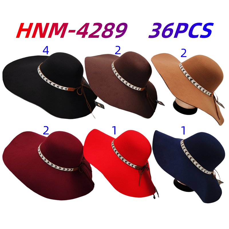 HNM-4289 CS36